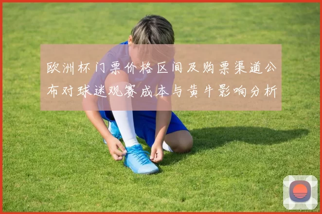 欧洲杯门票价格区间及购票渠道公布对球迷观赛成本与黄牛影响分析