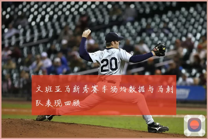 文班亚马新秀赛季场均数据与马刺队表现回顾