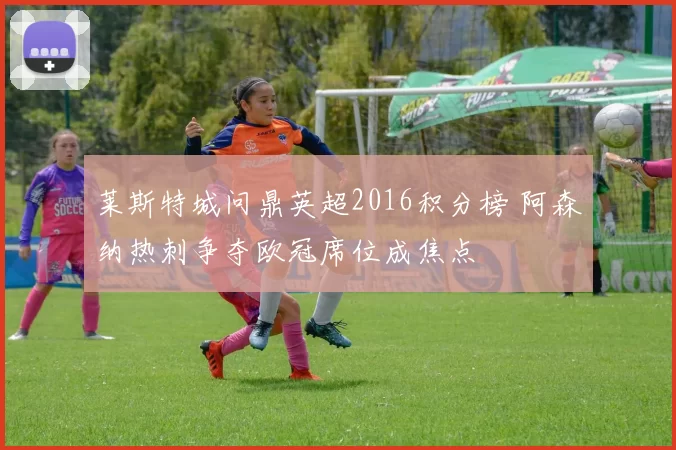 莱斯特城问鼎英超2016积分榜 阿森纳热刺争夺欧冠席位成焦点