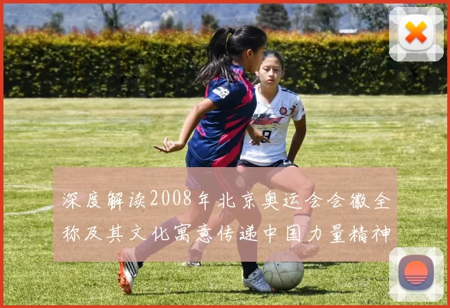 深度解读2008年北京奥运会会徽全称及其文化寓意传递中国力量精神