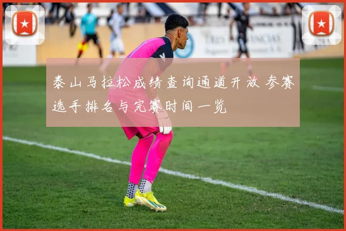 泰山马拉松成绩查询通道开放 参赛选手排名与完赛时间一览