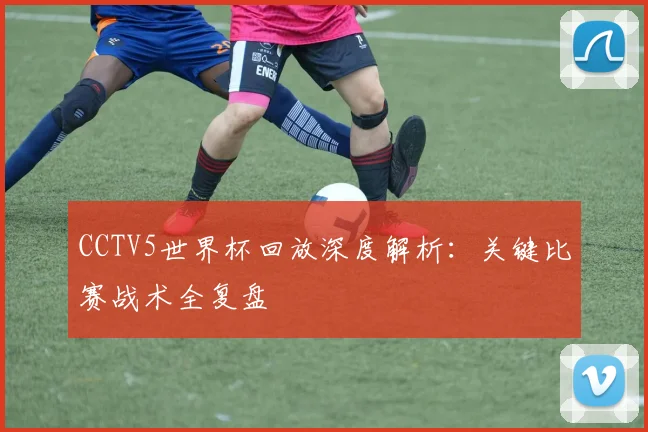 CCTV5世界杯回放深度解析:关键比赛战术全复盘