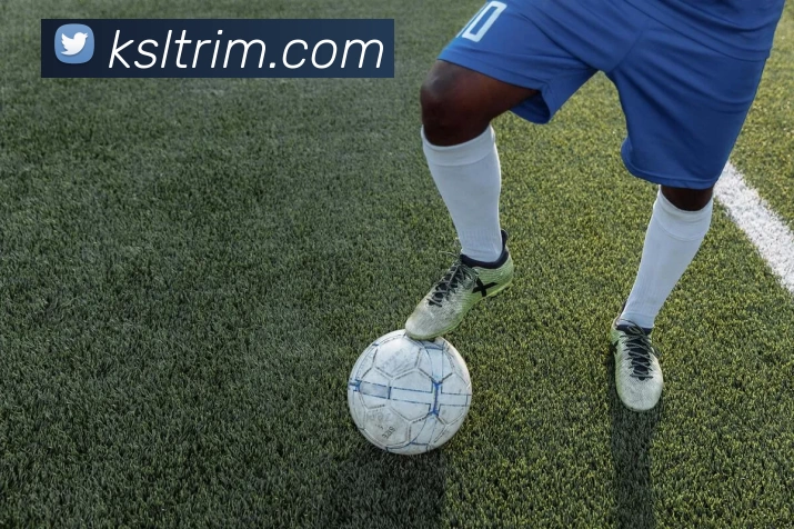 星空体育app直播平台生态图