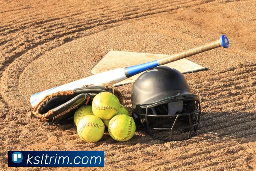 星空体育app直播APP 封面图